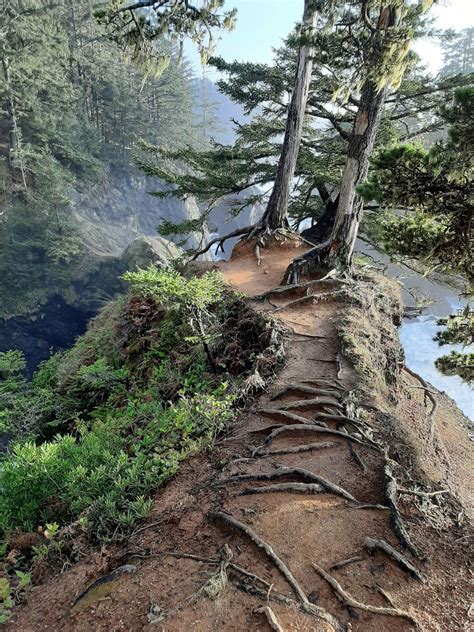 The Ultimate Guide to Samuel H Boardman State Scenic .
